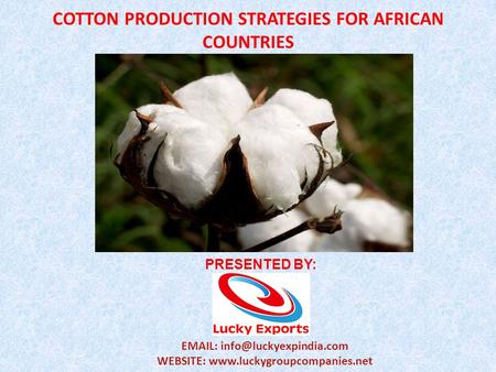 COTTON PRODUCTION STRATEGIES FOR AFRICAN COUNTRIES PRESENTED BY:   WEBSITE: