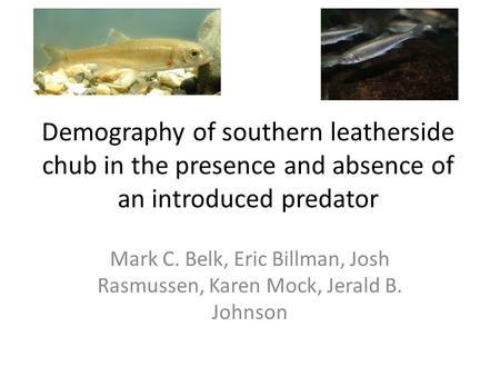 Demography of southern leatherside chub in the presence and absence of an introduced predator Mark C. Belk, Eric Billman, Josh Rasmussen, Karen Mock, Jerald.