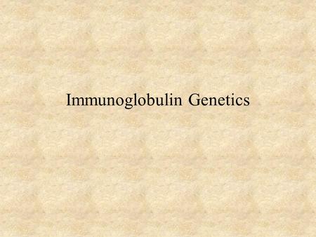 Immunoglobulin Genetics. Immunoglobulin Genetics History Same C region could associate with many V regions –IgG Ab with different specificities Same V.