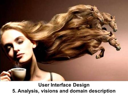 User Interface Design 5. Analysis, visions and domain description.