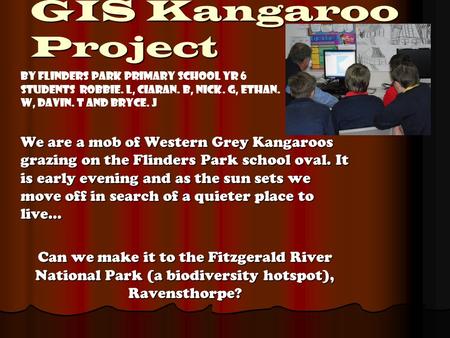 GIS Kangaroo Project We are a mob of Western Grey Kangaroos grazing on the Flinders Park school oval. It is early evening and as the sun sets we move off.