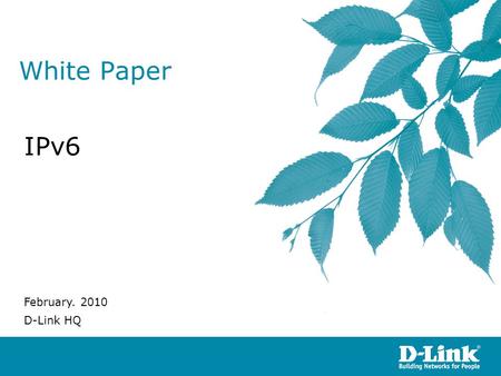 White Paper IPv6 February. 2010 D-Link HQ.