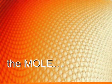 The MOLE….