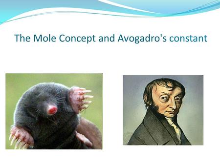 The Mole Concept and Avogadro's constant. The Mole-at first glace What is “the mole”? Dictionary definition: “a small burrowing mammal with dark velvety.