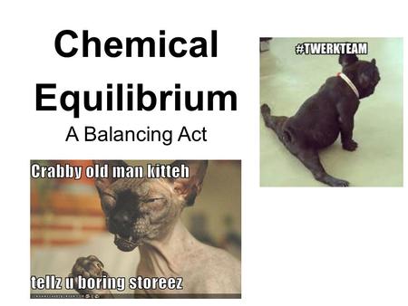 Chemical Equilibrium A Balancing Act.