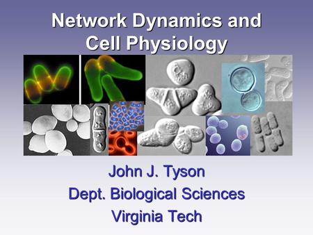 Network Dynamics and Cell Physiology John J. Tyson Dept. Biological Sciences Virginia Tech.