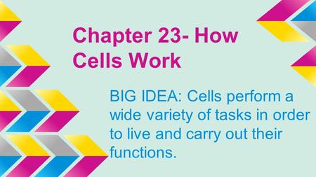 Chapter 23- How Cells Work BIG IDEA: Cells perform a wide variety of tasks in order to live and carry out their functions.