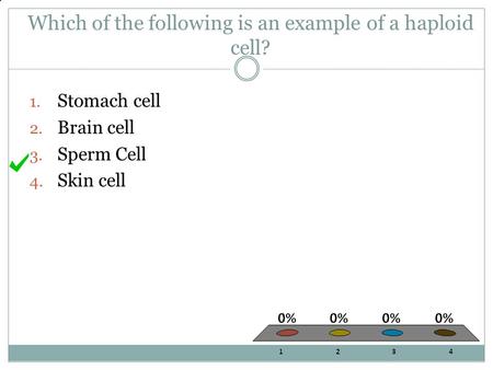 Which of the following is an example of a haploid cell?