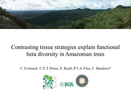 Contrasting tissue strategies explain functional beta diversity in Amazonian trees C. Fortunel, C.E.T. Paine, N. Kraft, P.V.A. Fine, C. Baraloto*