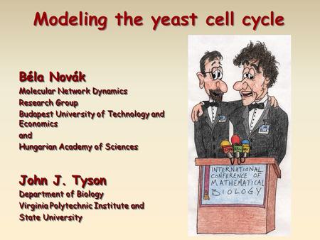 Béla Novák Molecular Network Dynamics Research Group Budapest University of Technology and Economics and Hungarian Academy of Sciences John J. Tyson Department.