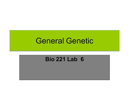 General Genetic Bio 221 Lab 6. Law of Independent Assortment (The Second Law) The Law of Independent Assortment, also known as Inheritance Law, states.