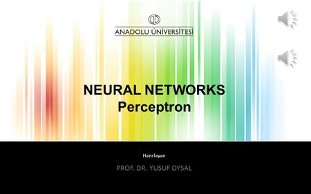 NEURAL NETWORKS Perceptron