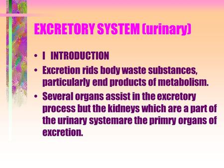 EXCRETORY SYSTEM (urinary)