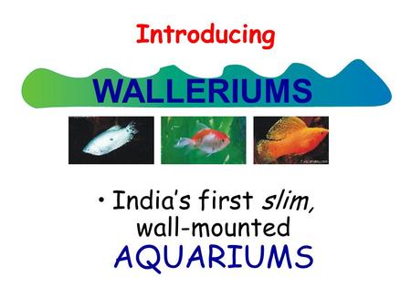 Introducing India’s first slim, wall-mounted AQUARIUMS WALLERIUMS.