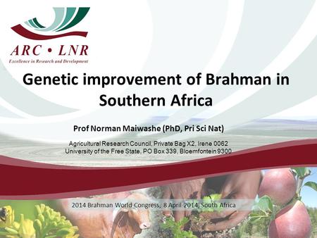 Genetic improvement of Brahman in Southern Africa Prof Norman Maiwashe (PhD, Pri Sci Nat) Agricultural Research Council, Private Bag X2, Irene 0062 University.