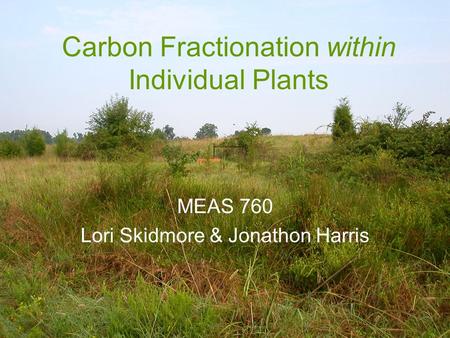 Carbon Fractionation within Individual Plants MEAS 760 Lori Skidmore & Jonathon Harris.