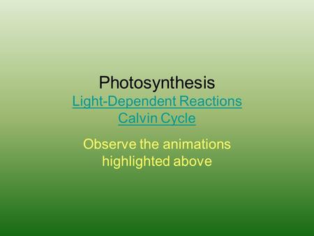 Photosynthesis Light-Dependent Reactions Calvin Cycle Light-Dependent Reactions Calvin Cycle Observe the animations highlighted above.