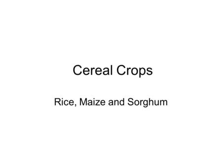 Cereal Crops Rice, Maize and Sorghum.