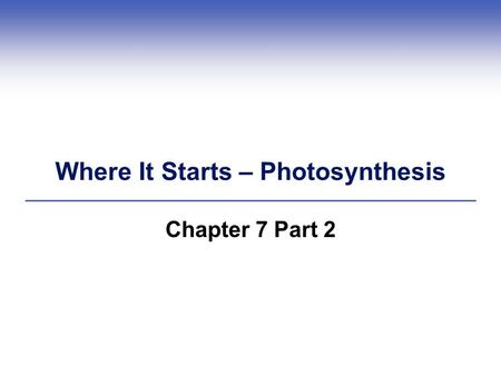 Where It Starts – Photosynthesis Chapter 7 Part 2.