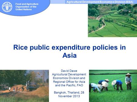 Agricultural Development Economics Division (ESA) Food and Agriculture Organization of the United Nations Rice public expenditure policies in Asia David.