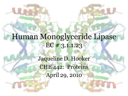Human Monoglyceride Lipase EC # 3.1.1.23 Jaqueline D. Hooker CHE 442: Proteins April 29, 2010.