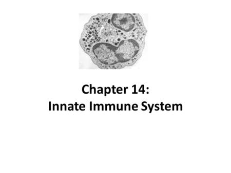 Chapter 14: Innate Immune System. Overview of Immune Defenses First-line defenses: – Intact, healthy skin and mucous membranes – Normal microbiota.