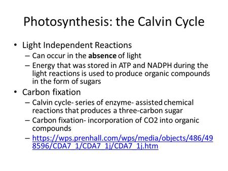 Photosynthesis: the Calvin Cycle Light Independent Reactions – Can occur in the absence of light – Energy that was stored in ATP and NADPH during the light.