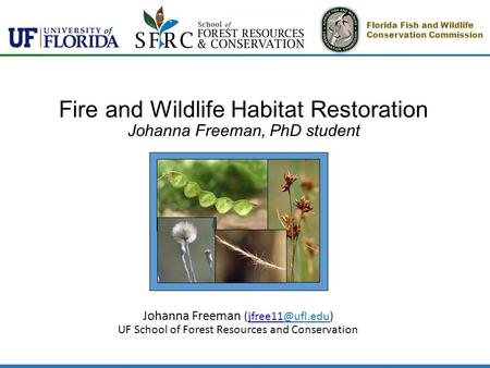 Fire and Wildlife Habitat Restoration Johanna Freeman, PhD student Johanna Freeman UF School of Forest Resources and Conservation.