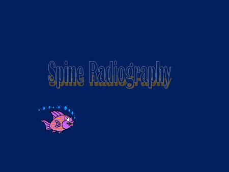 Spine Radiography.