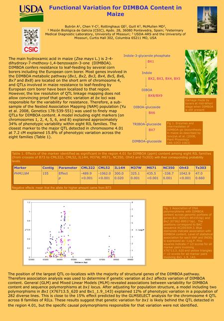 Functional Variation for DIMBOA Content in Maize Butrón A 1, Chen Y-C 2, Rottinghaus GE 2, Guill K 3, McMullen MD 3, 1 Misión Biológica de Galicia (CSIC),