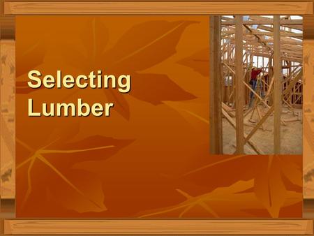 Selecting Lumber.