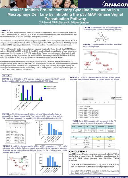 Poster will be available at www.anacor.com after September 10 th 2006 AN0128 Inhibits Pro-inflammatory Cytokine Production in a Macrophage Cell Line by.