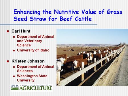 Enhancing the Nutritive Value of Grass Seed Straw for Beef Cattle Carl Hunt Department of Animal and Veterinary Science University of Idaho Kristen Johnson.