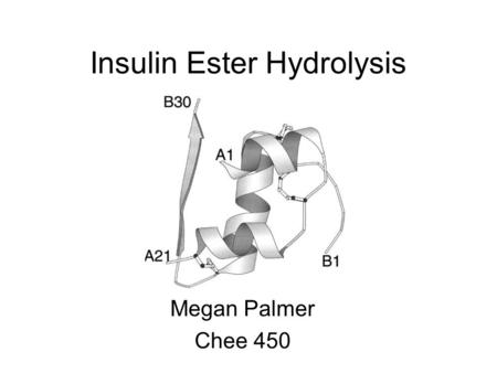 Insulin Ester Hydrolysis Megan Palmer Chee 450. Conversion of Insulin Ester Following enzymatic cleavage, must de-protect Thr B30 ester into Thr B30 carboxylic.