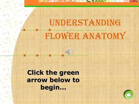 Understanding Flower Anatomy. Instruction / Help Green arrow to go forward Blue arrow to go back Red Home icon to go to the beginning of the slide show.