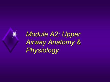 Module A2: Upper Airway Anatomy & Physiology