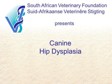 South African Veterinary Foundation