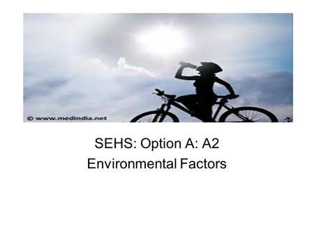 SEHS: Option A: A2 Environmental Factors