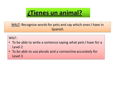 WALT: Recognise words for pets and say which ones I have in Spanish WILF: To be able to write a sentence saying what pets I have for a Level 2 To be able.