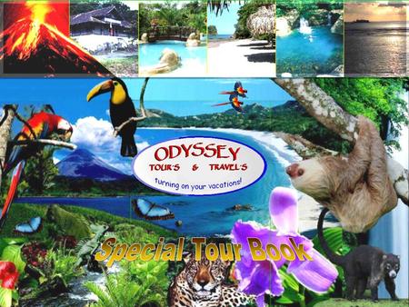 Welcome to the Costa Rica Experts virtual tour book Hopping you and yours be fine and sending you regards we want to introduce our small company but with.