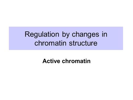 Regulation by changes in chromatin structure Active chromatin.