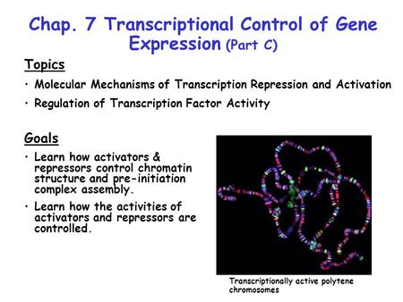 Chap. 7 Transcriptional Control of Gene Expression (Part C)
