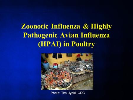 Zoonotic Influenza & Highly Pathogenic Avian Influenza (HPAI) in Poultry Photo: Tim Uyeki, CDC.