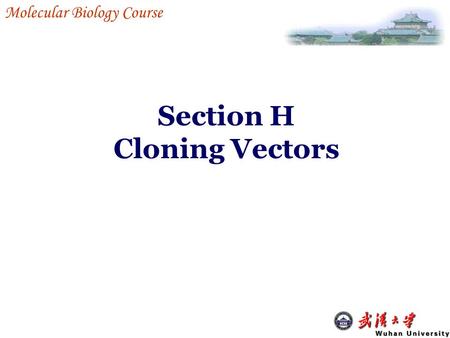 Cloning vectors “The introduction of a foreign DNA into a host cell in many  cases requires the use of a vector. Vectors are DNA molecules used to  transfer. - ppt video online