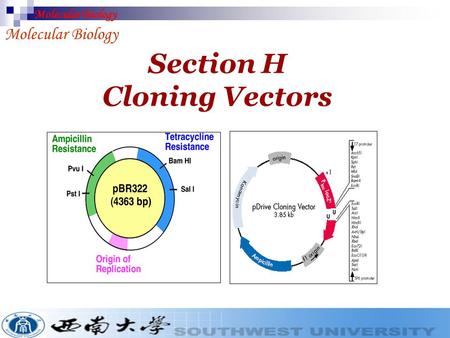 Section H Cloning Vectors