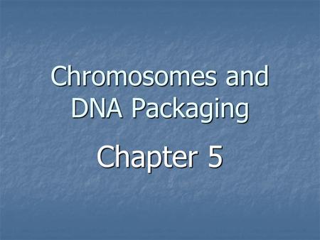 Chromosomes and DNA Packaging Chapter 5. The Problem Human genome (in diploid cells) = 6 x 10 9 bp Human genome (in diploid cells) = 6 x 10 9 bp 6 x 10.
