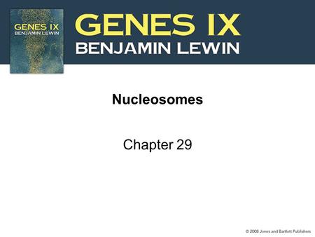 Nucleosomes Chapter 29. 2 29.2 The Nucleosome Is the Subunit of All Chromatin Micrococcal nuclease releases individual nucleosomes from chromatin as 11S.