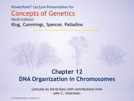 DNA Organization in Chromosomes