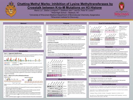 Chatting Methyl Marks: Inhibition of Lysine Methyltransferases by Crosstalk between K-to-M Mutations on H3 Histone Manlu Liu 1, Stefan Lundgren 2,3, Siddhant.