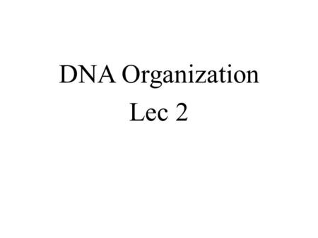 DNA Organization Lec 2. Aims The aims of this lecture is to investigate how cells organize their DNA within the cell nucleus, how is the huge amount of.